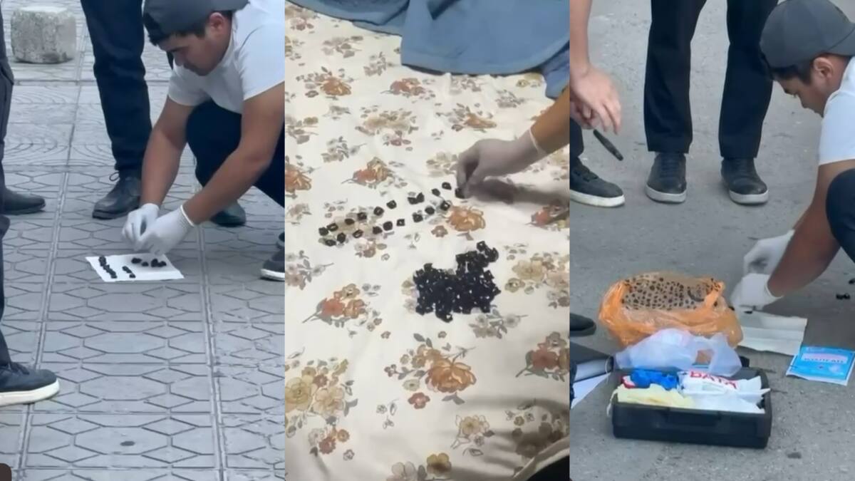 تارازدا شەتەل ازاماتىنان ءىرى كولەمدە ەسىرتكى تاركىلەندى
